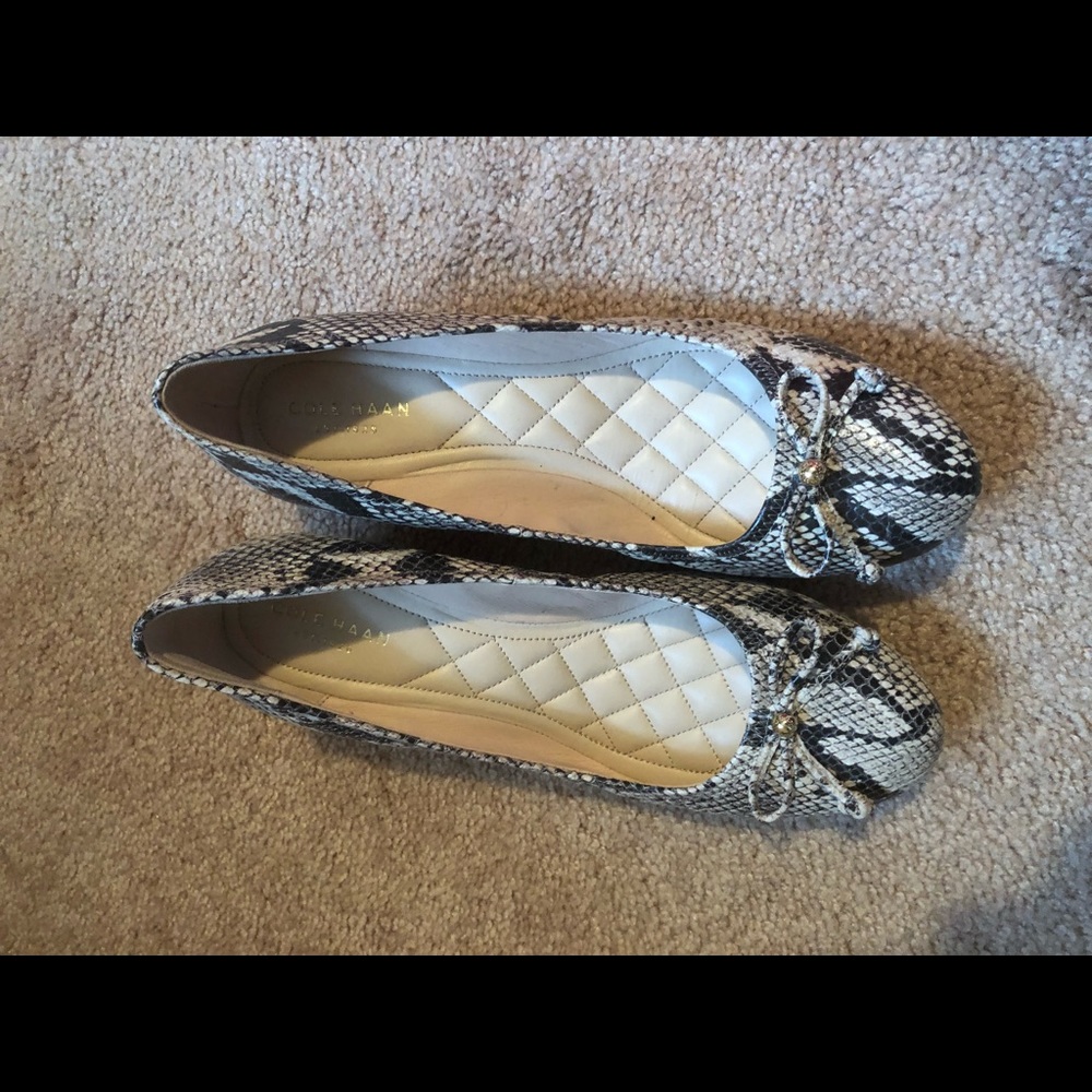 Cole Haan brand new shoes